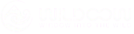 Wildoow Logo